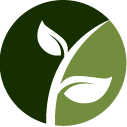 Bush Removal Service Pros