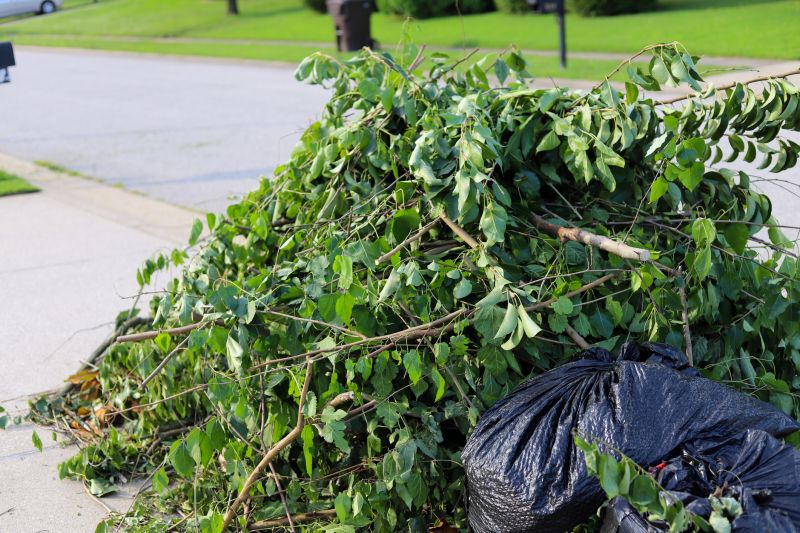 Professional Bush Removal Service — Cost of Bush Removal Service