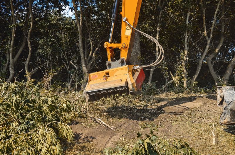 Professional Equipment Used in Bush Removal