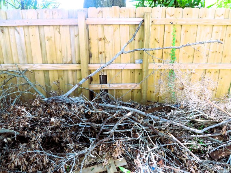 Bush Removal Service