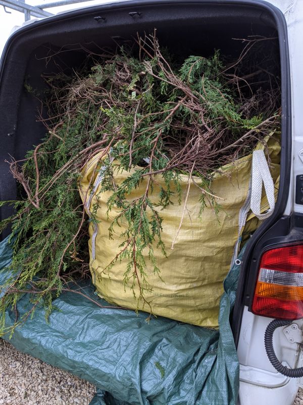 Bush Removal Service